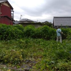 神戸町にて雑草・庭石撤去等の工事が始まりました！